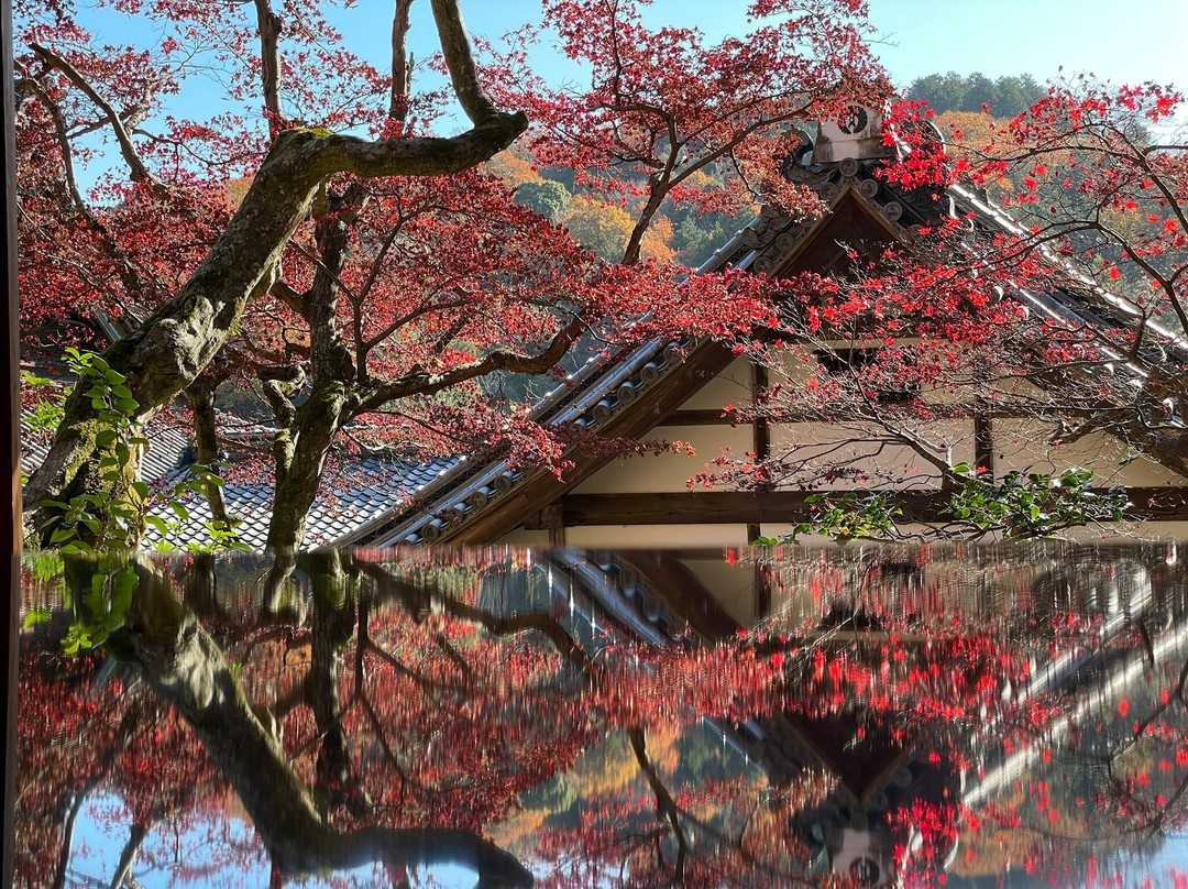 Yokokuji Temple-长冈京市必去景点