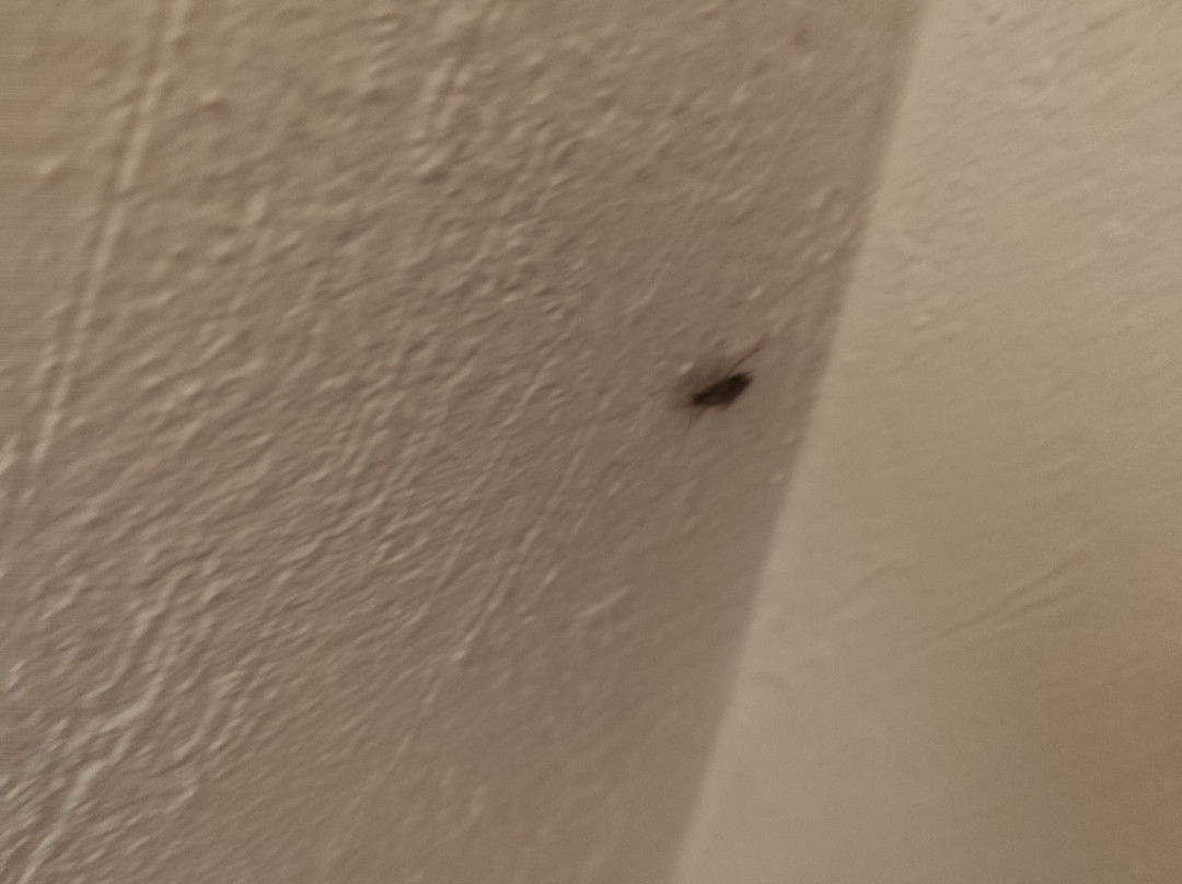 Fiesta Inn Ciudad Juarez主图