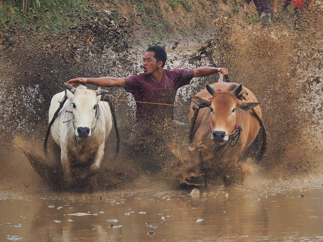 Lite 'N' Easy Tour-武吉丁宜必去景点