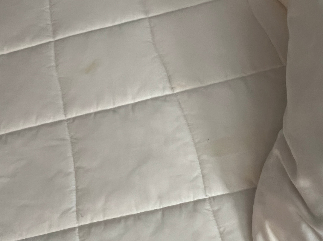 Best Western Gallup West主图