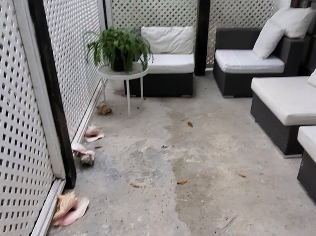 Tingum Village Hotel主图