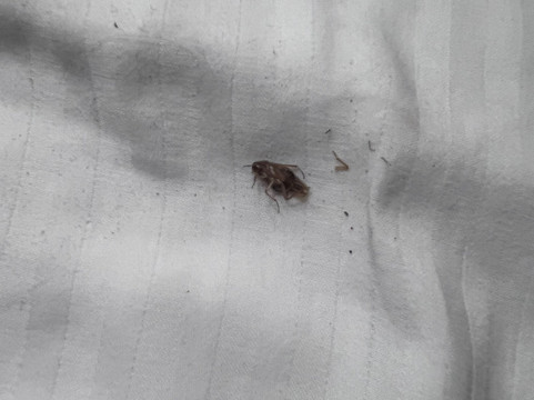 La Quinta Inn & Suites by Wyndham Cleburne主图