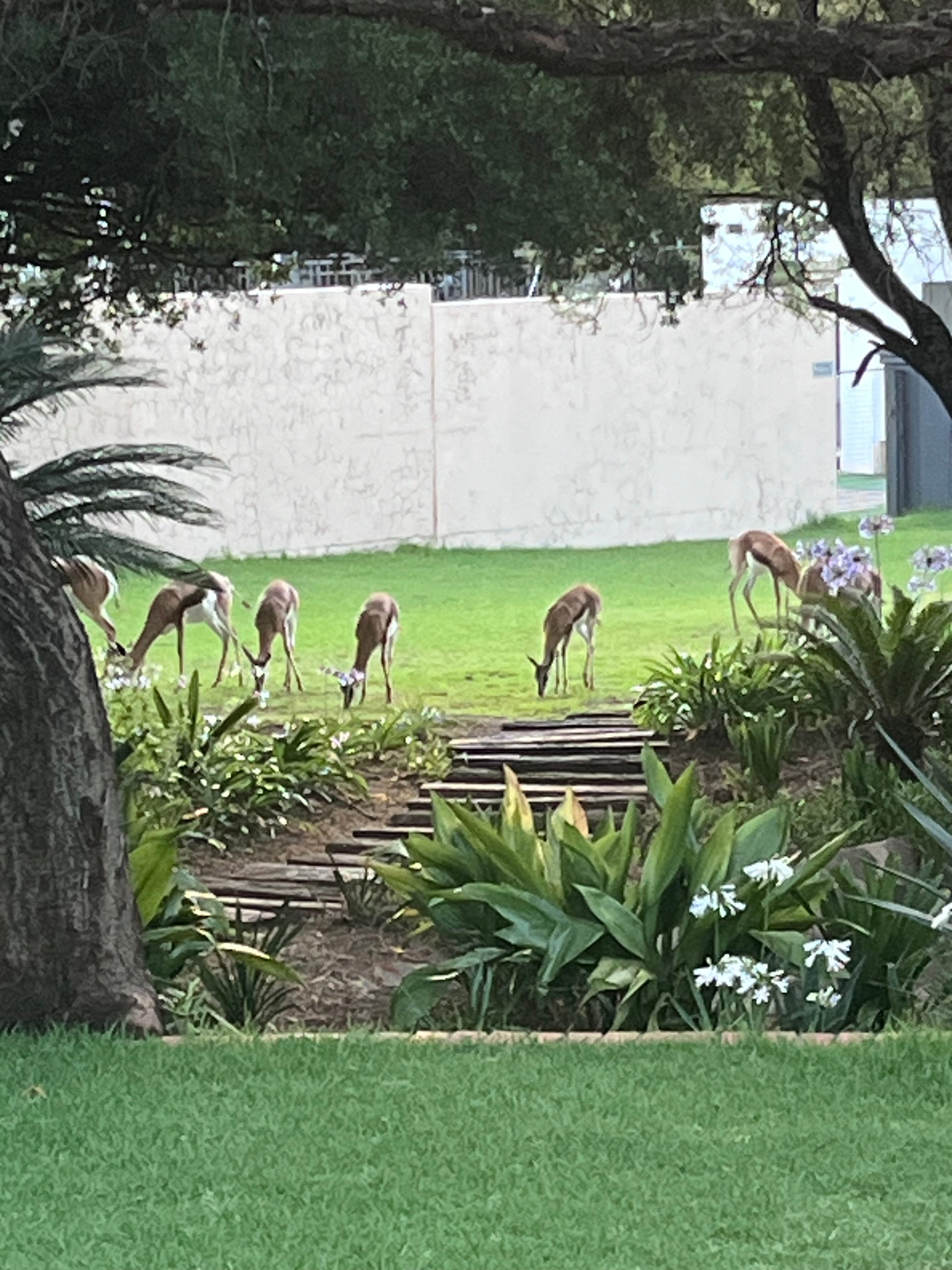 Tredenham Boutique Hotel-浴室