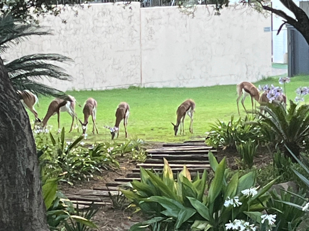 Tredenham Boutique Hotel主图