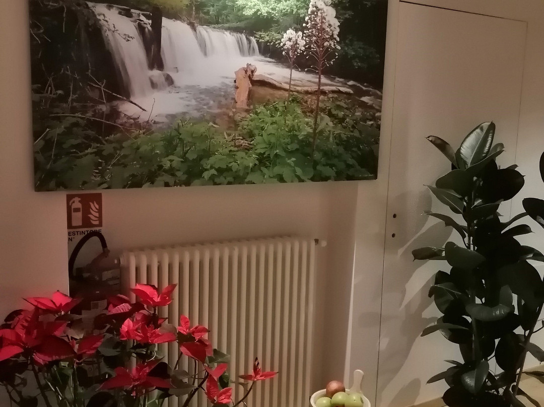 Granduca Mountain Wellness Apartments主图