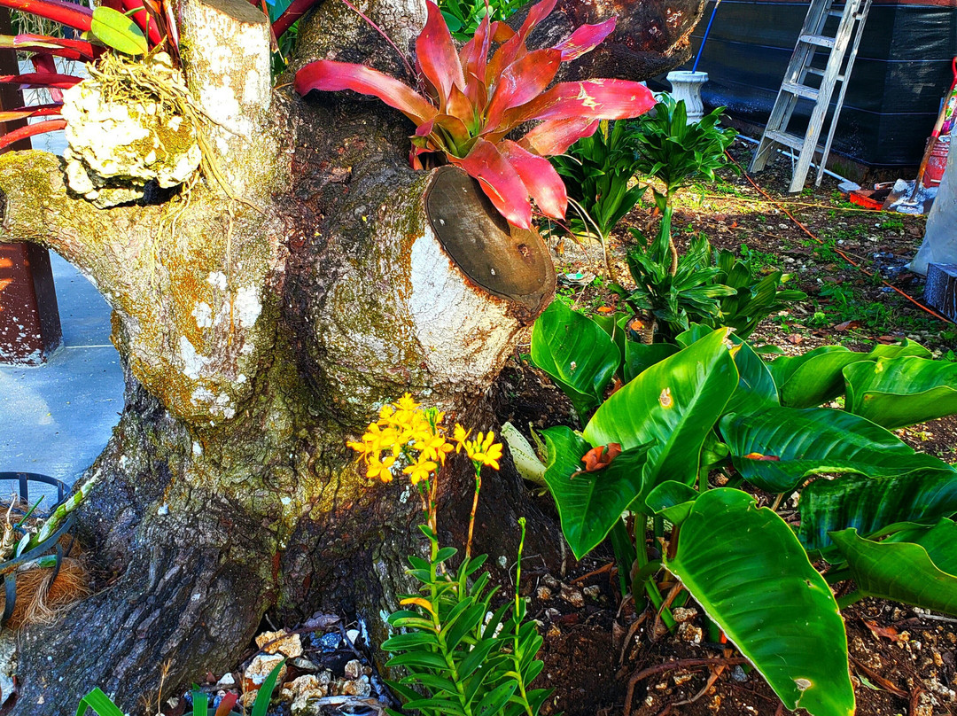 Mery Farm-霍姆斯特德必去景点