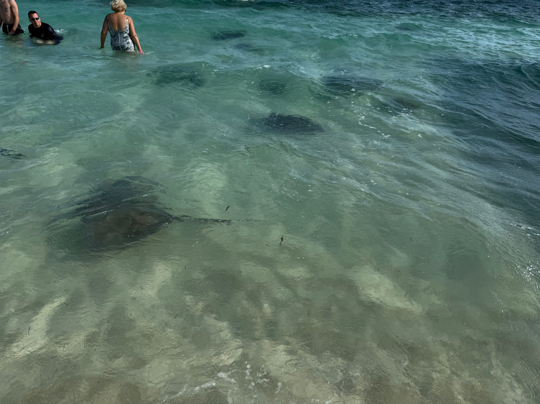 Bimini Blue Adventures景点图片