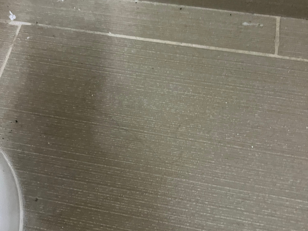 Comfort Inn & Suites Santee I-95主图