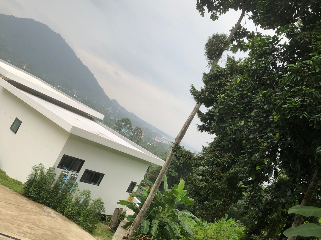 Samui Taxi 24 Hrs.-苏梅岛必去景点