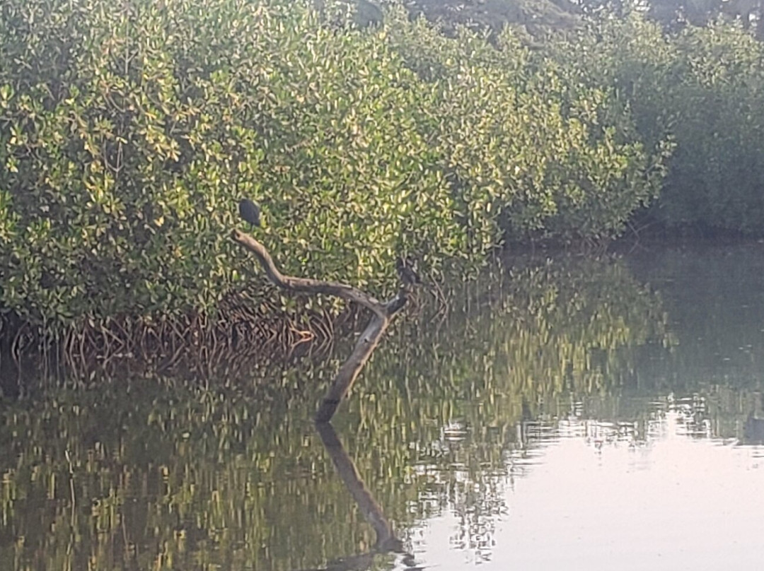 Gambia Excursions景点图片