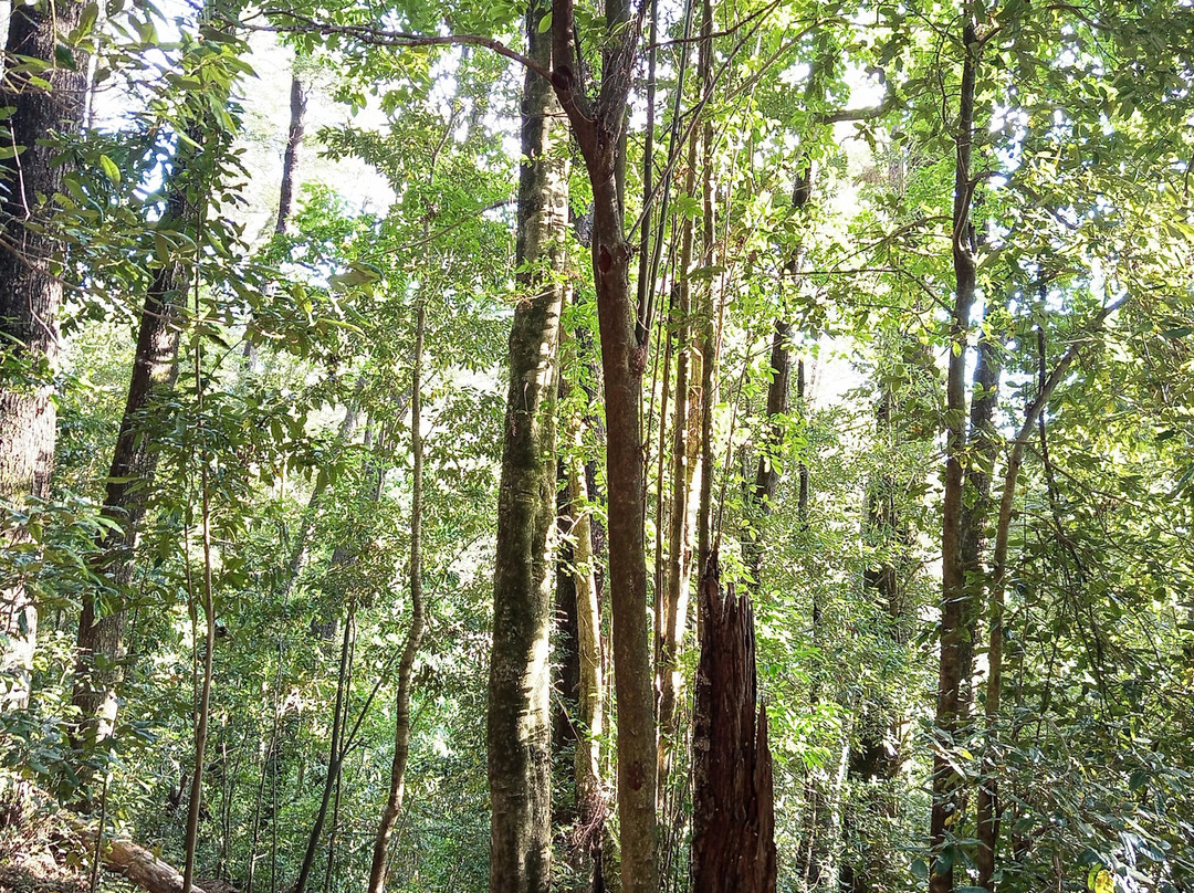 Parque Kulatrayken-普孔必去景点