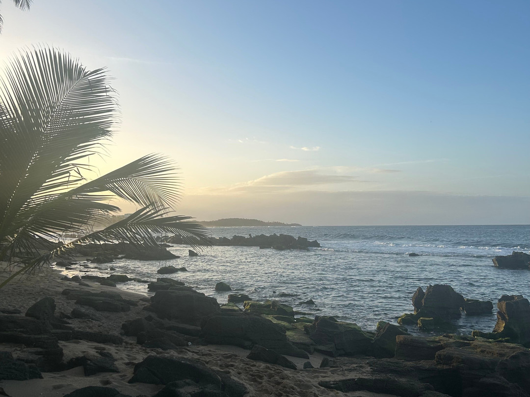 Dorado Beach, a Ritz-Carlton Reserve主图