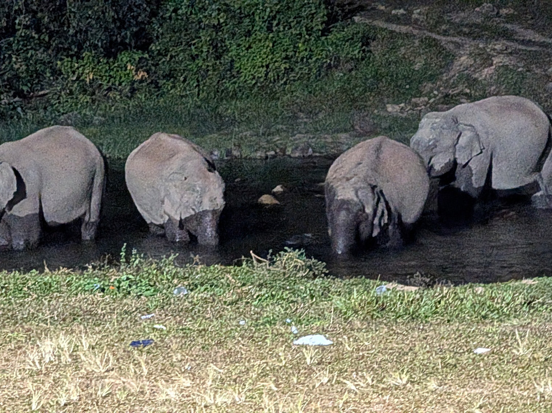 Elephant View Point景点图片