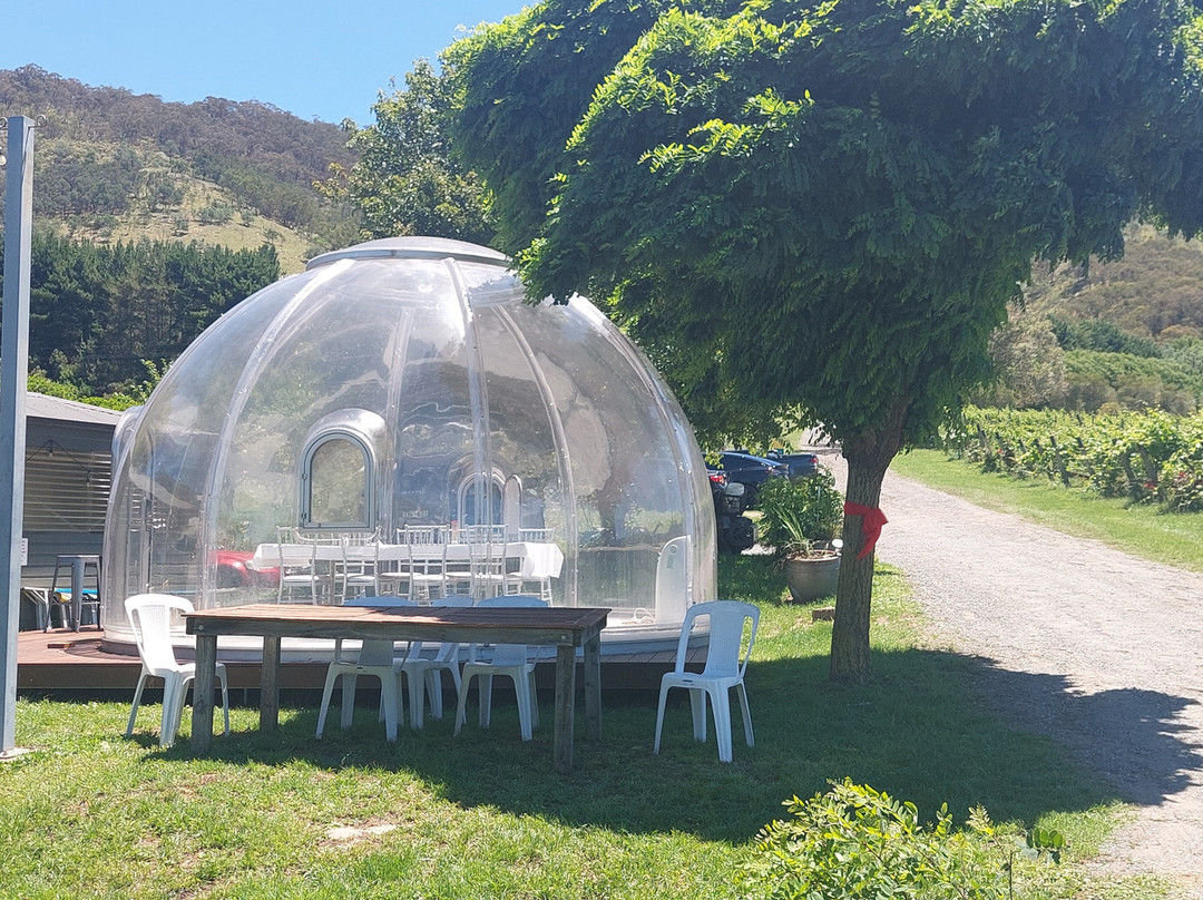 Lake George Winery-Collector必去景点