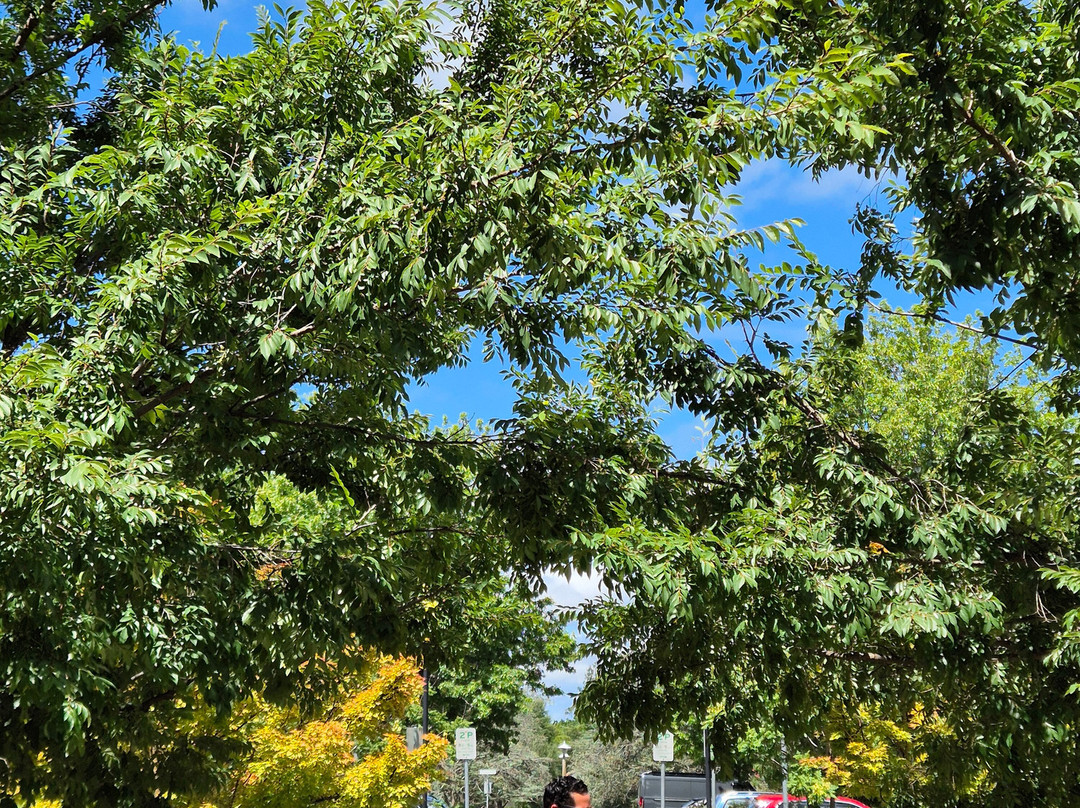 堪培拉布拉思酒店主图