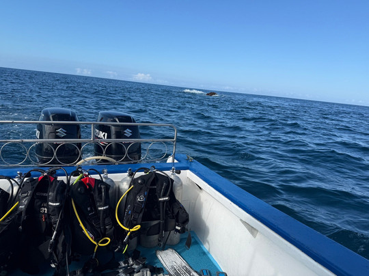 AQUAVENTURES DIVE CENTER-Puerto Baquerizo Moreno必去景点