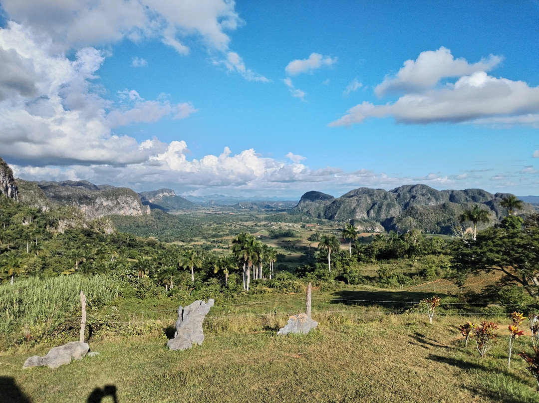 Finca L'Armonia景点图片