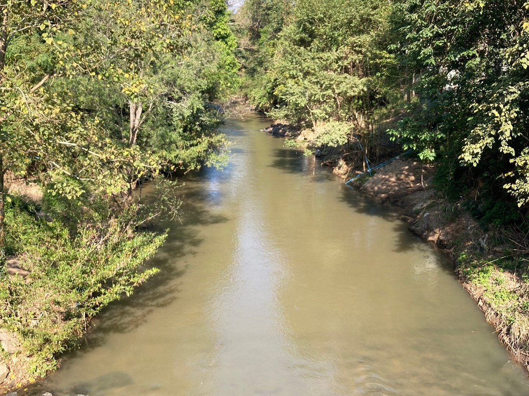 Puthawan Elephant Camp主图