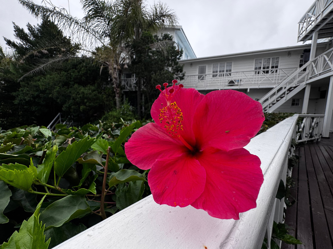 布伦顿海滨别墅酒店主图