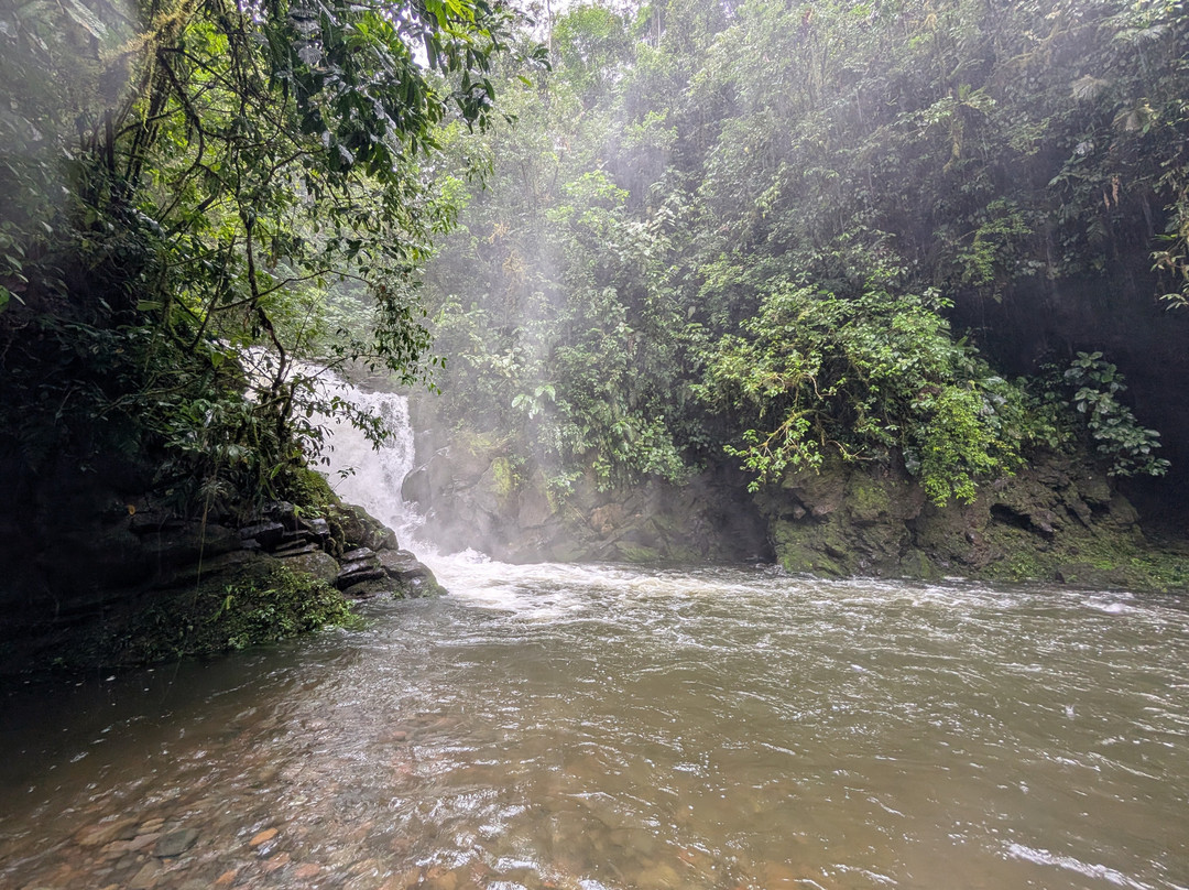 Maquengue Falls Natural Resort主图