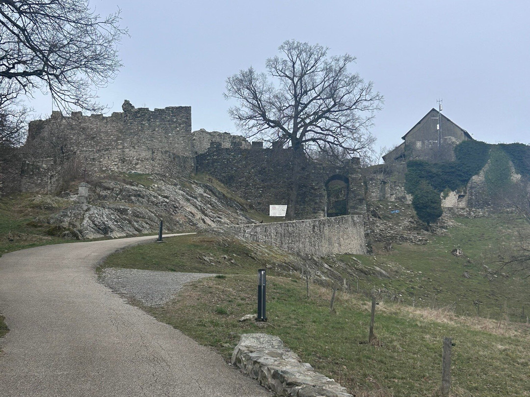 Châteaux des Allinges景点图片
