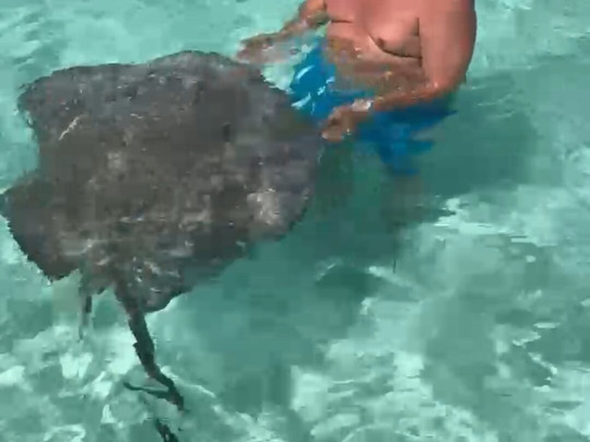 Eco Excursioning-考祖梅必去景点