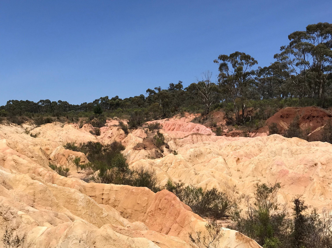 Pink Cliffs-Heathcote必去景点