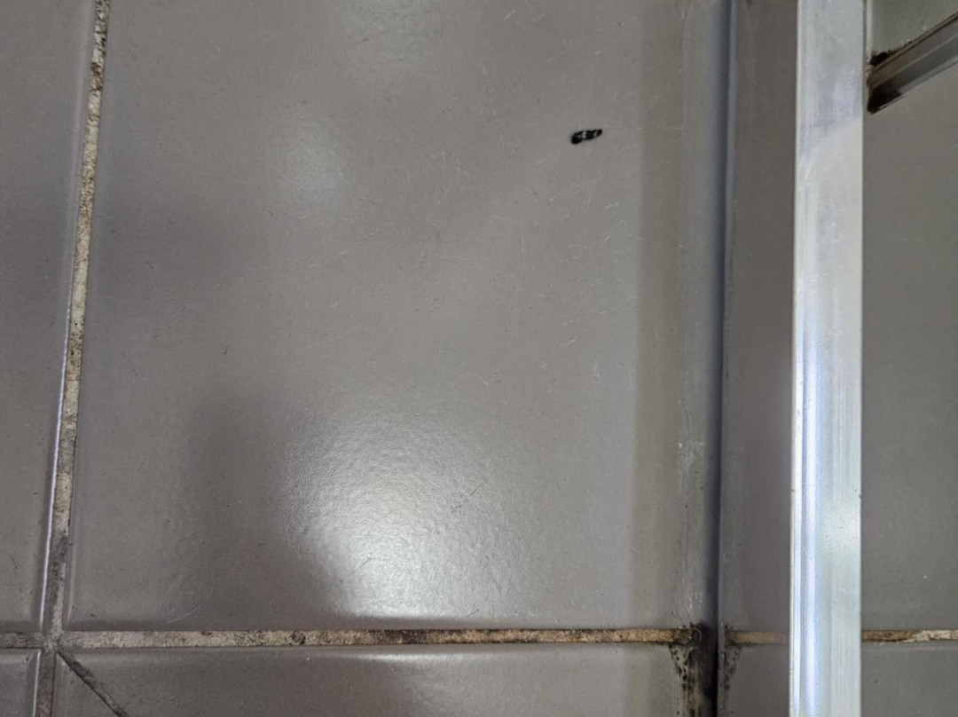 西城汽车旅馆主图