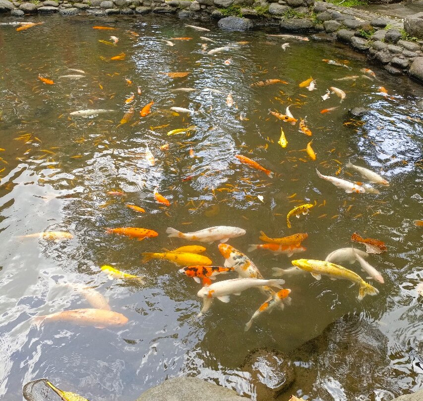 Flory Village-Sleman必去景点