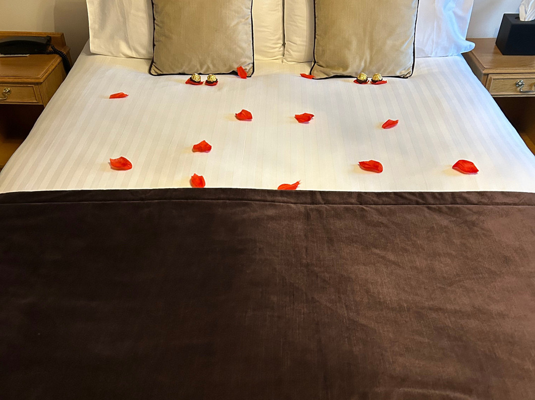 The Crescent Hotel主图