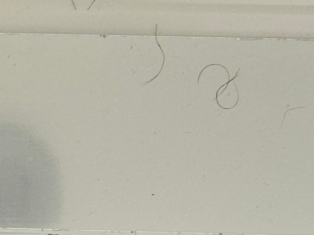 Hilton Garden Inn Tuscaloosa主图