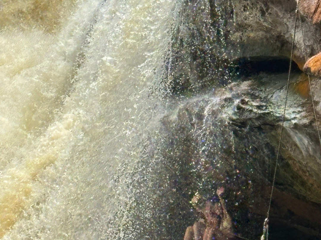 Amazon Backpackers Tours-玛瑙斯必去景点