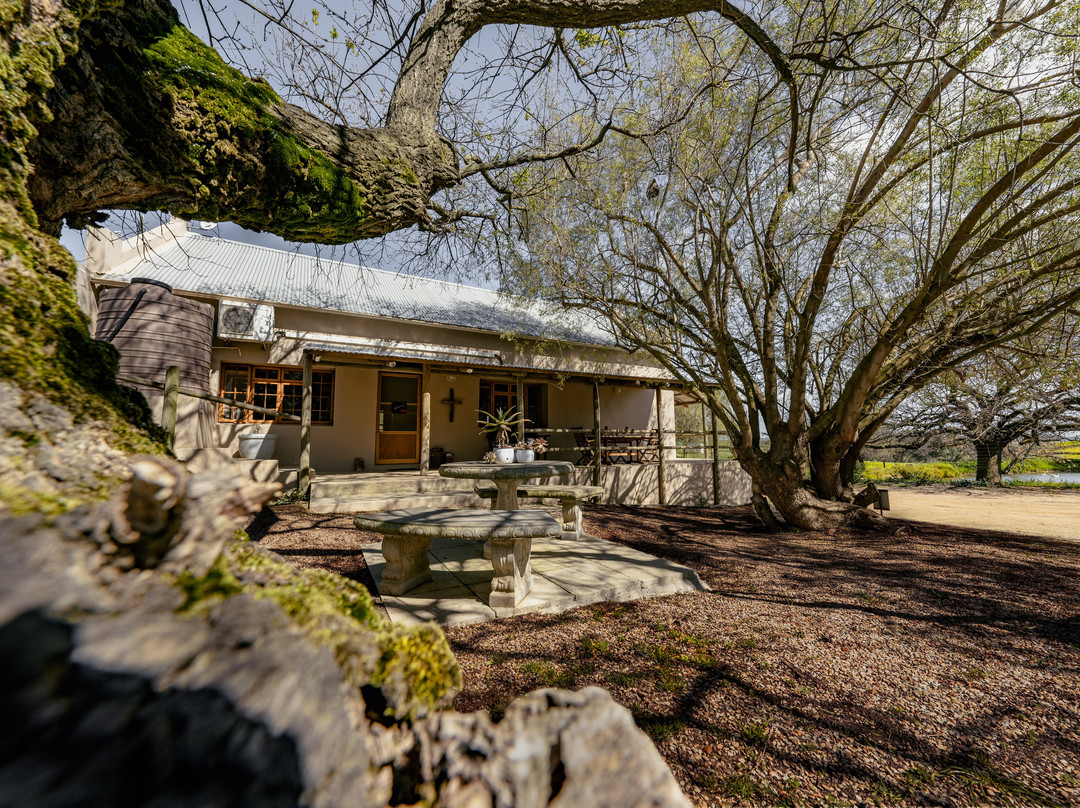 Dassenheuwel Farmstay