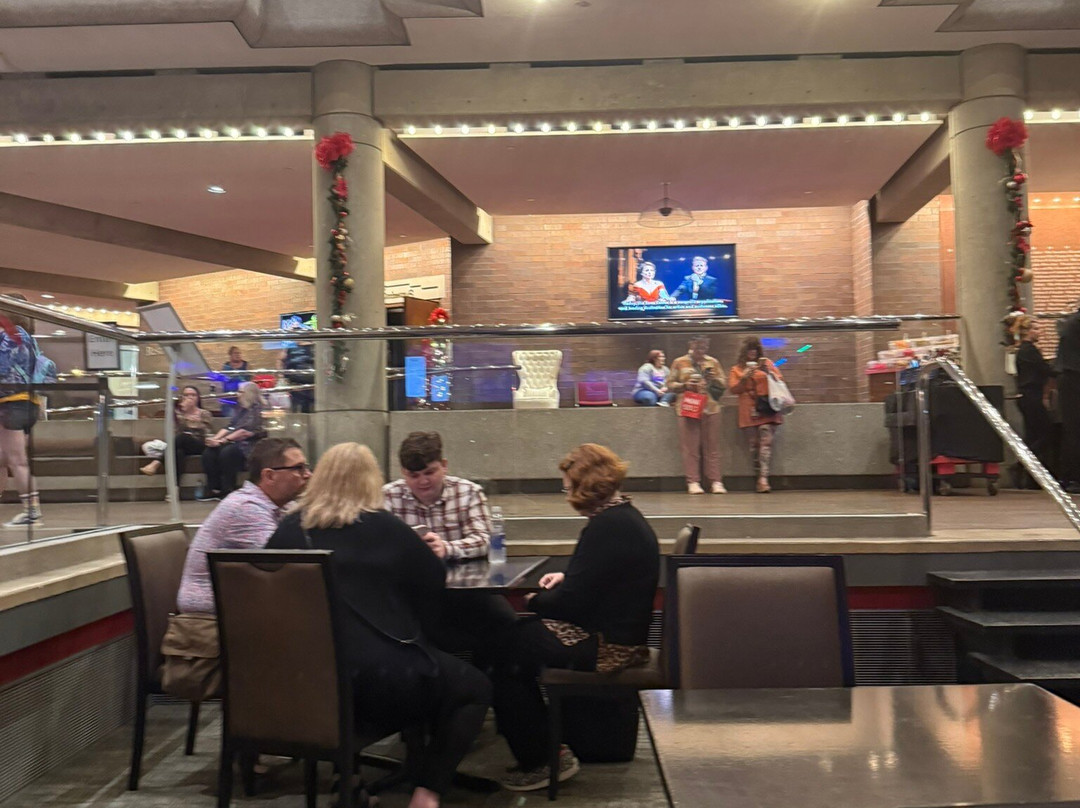 Straz Center for the Performing Arts-坦帕必去景点