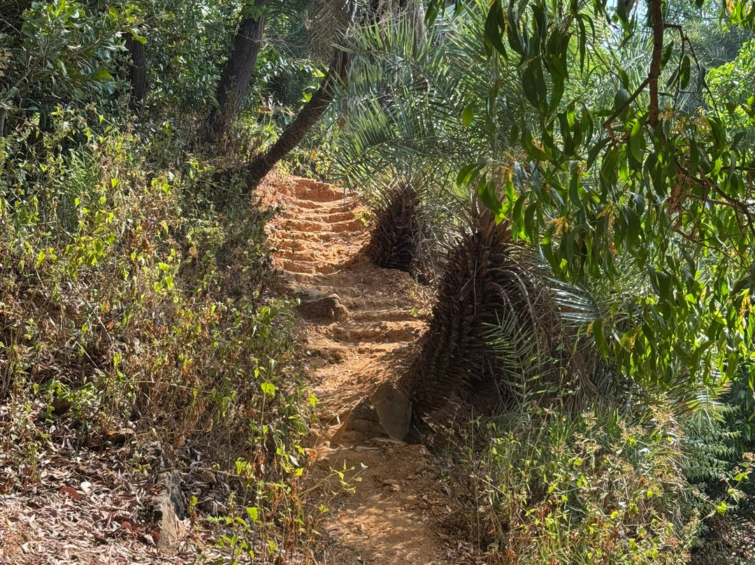 Paradise Beach-Gokarna必去景点