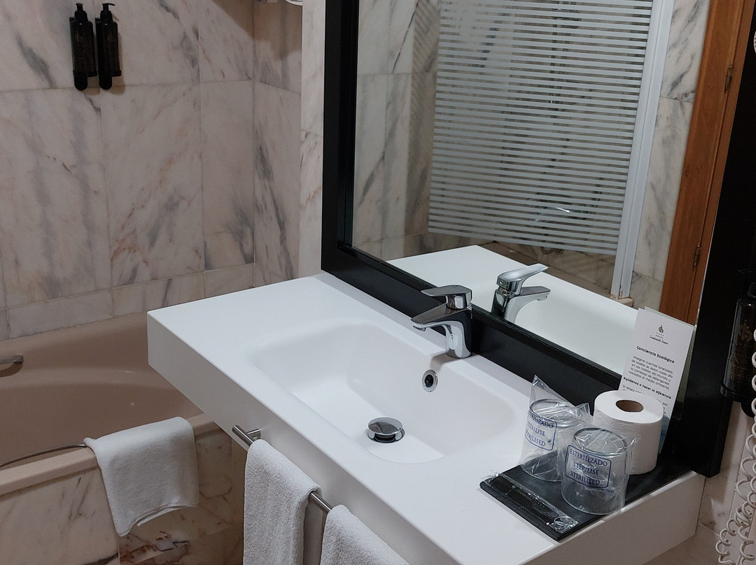 Hotel Condestable Iranzo主图