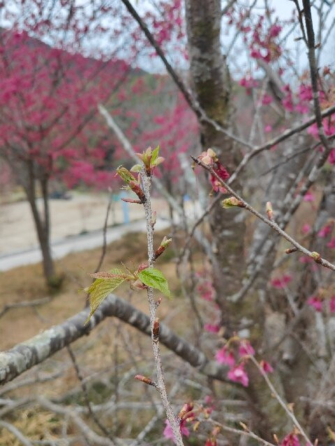 石门国家森林公园-从化市必去景点