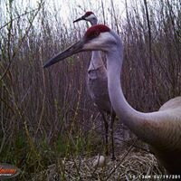 Adam Birding Conservancy-Whitewater必去景点