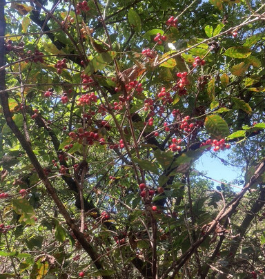 Ephrem Ethiopia Tours-巴哈尔达尔必去景点