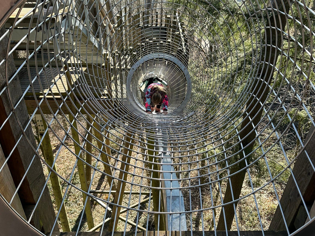 Treetop Path Saarschleife-Orscholz必去景点