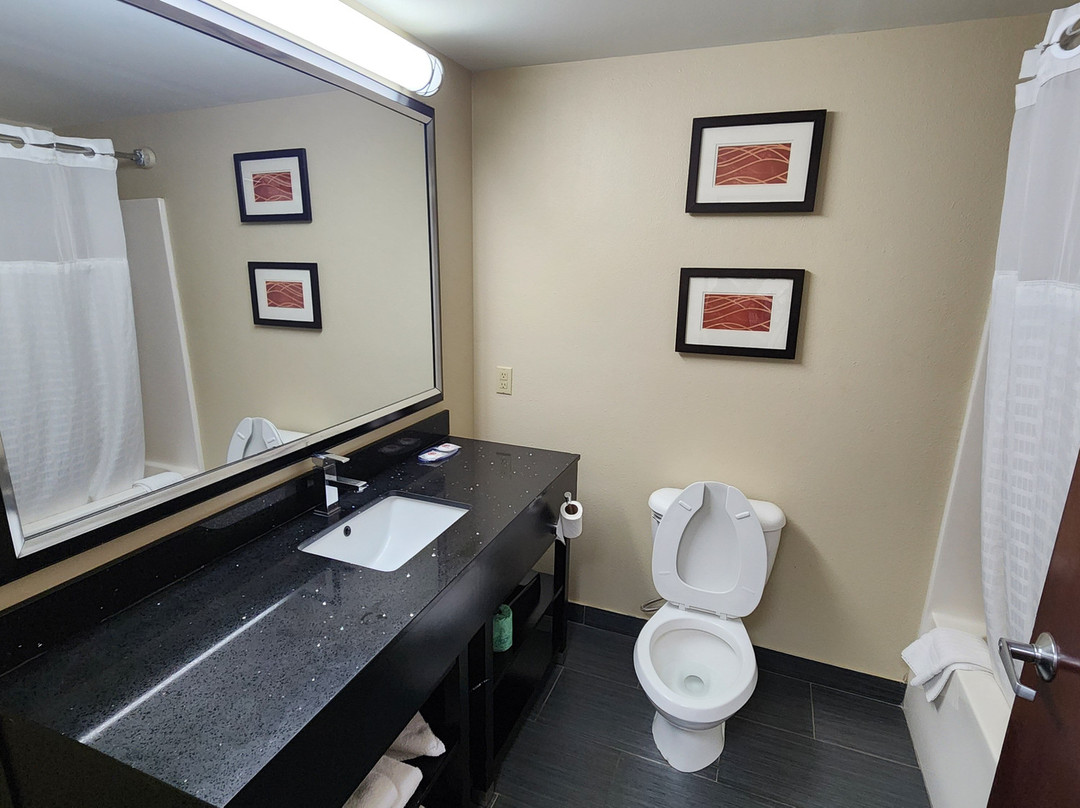 Comfort Inn & Suites主图