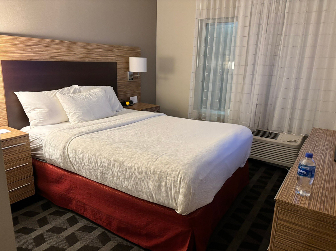 TownePlace Suites by Marriott Leesburg主图