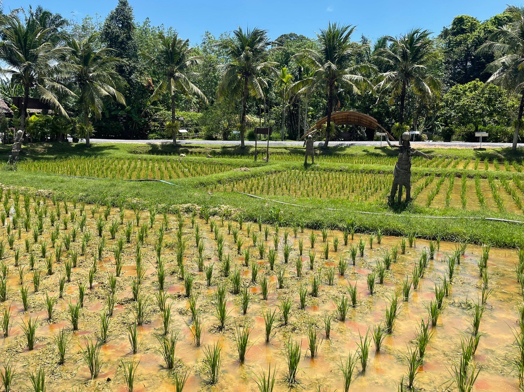 Old Phuket Farm景点图片