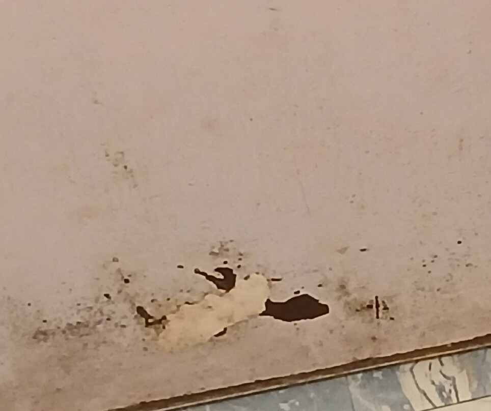 The Byke Sunshine Grand主图