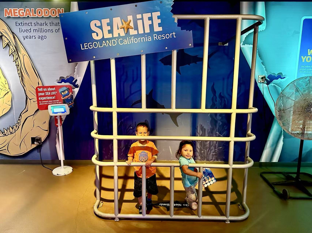 SEA LIFE Aquarium-卡尔斯巴德必去景点