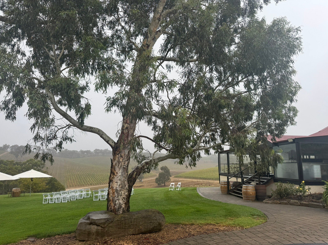 Longview Vineyard - Adelaide Hills主图