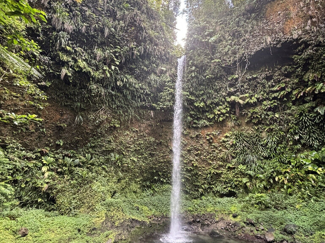 Hibiscus Valley Inn主图