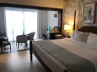 桑德斯皇家普兰泰申酒店主图