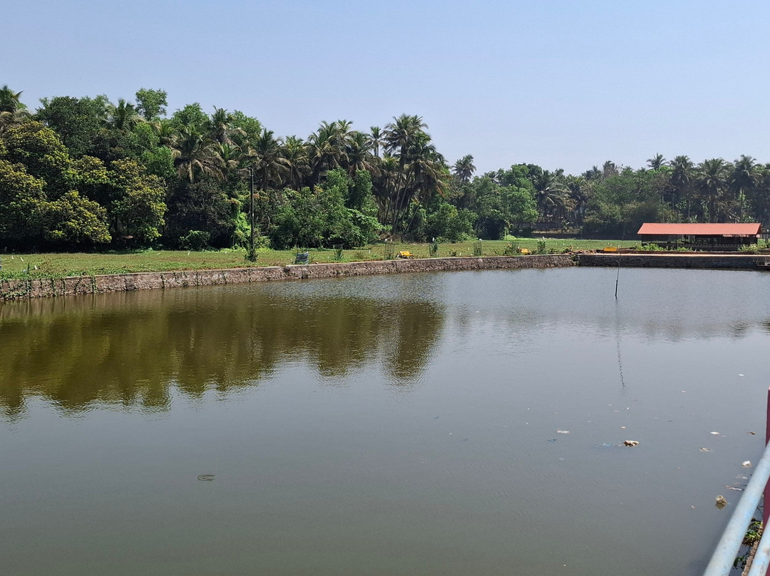 Gonsua Lake-马久达必去景点