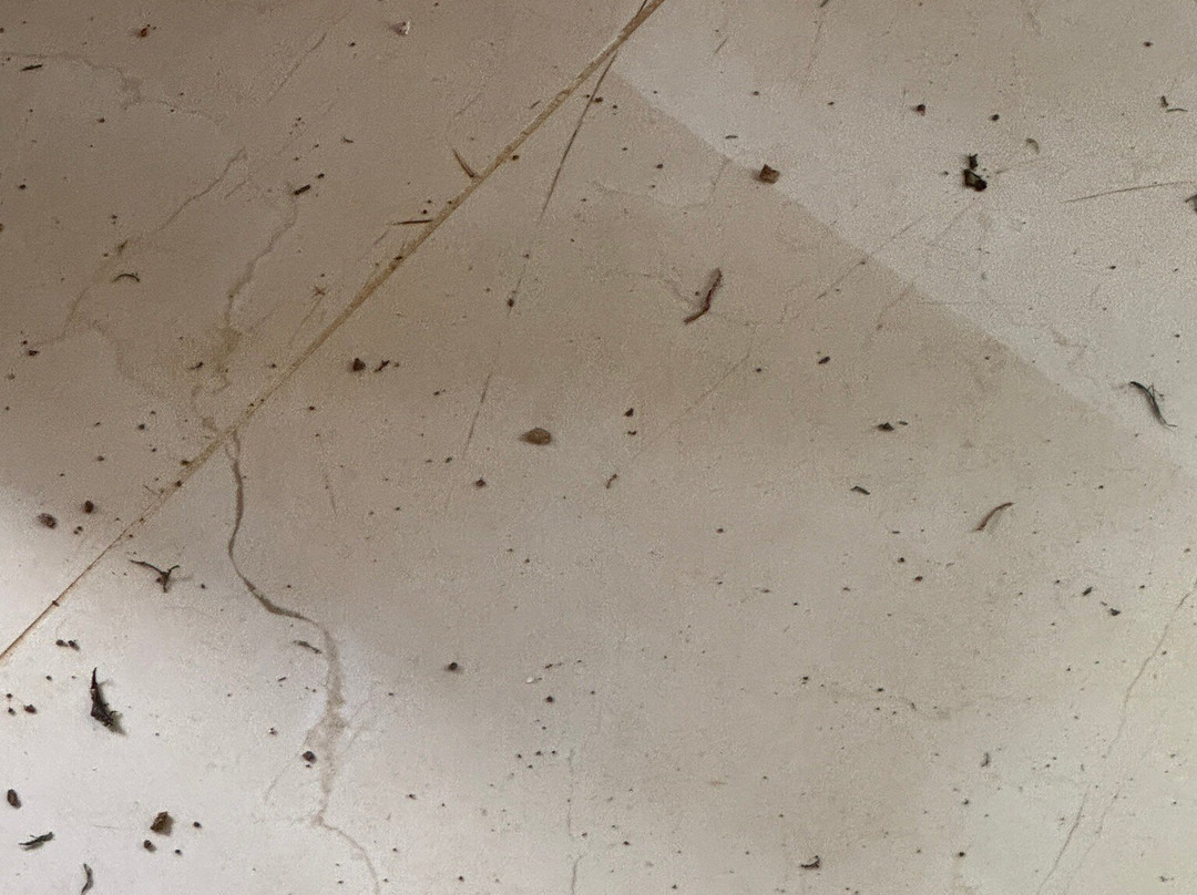 Heliconias Rainforest Lodge主图